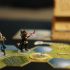 Strategische spellen